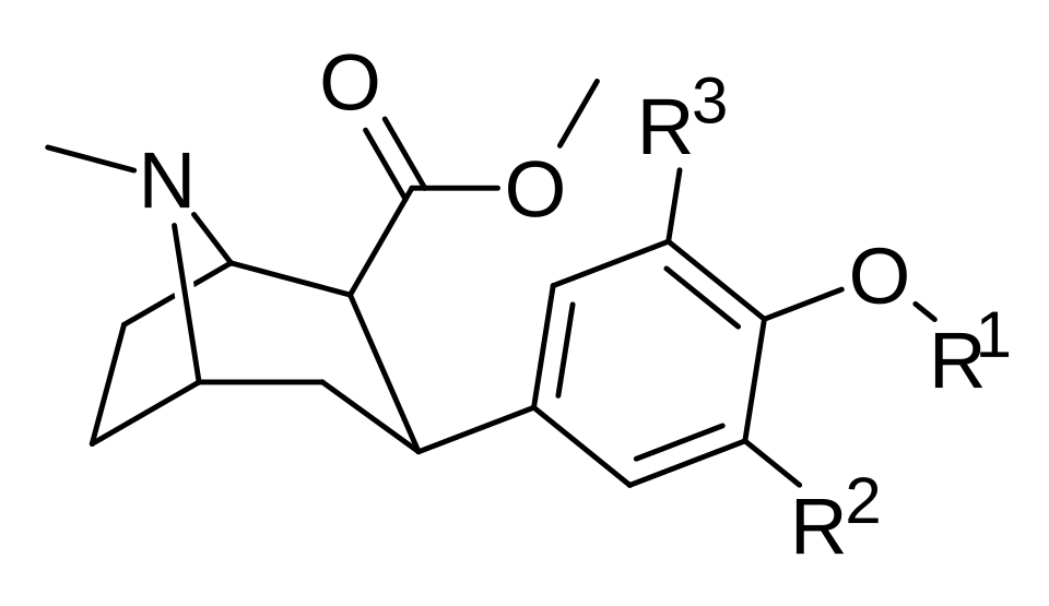 File:Phenyltropanes Carroll generic.svg