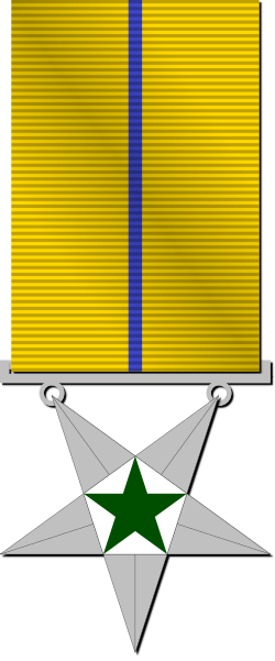 "Senior Administrator, awarded for being an administrator for at least 4 years and performing at least 3,500 administrative actions"