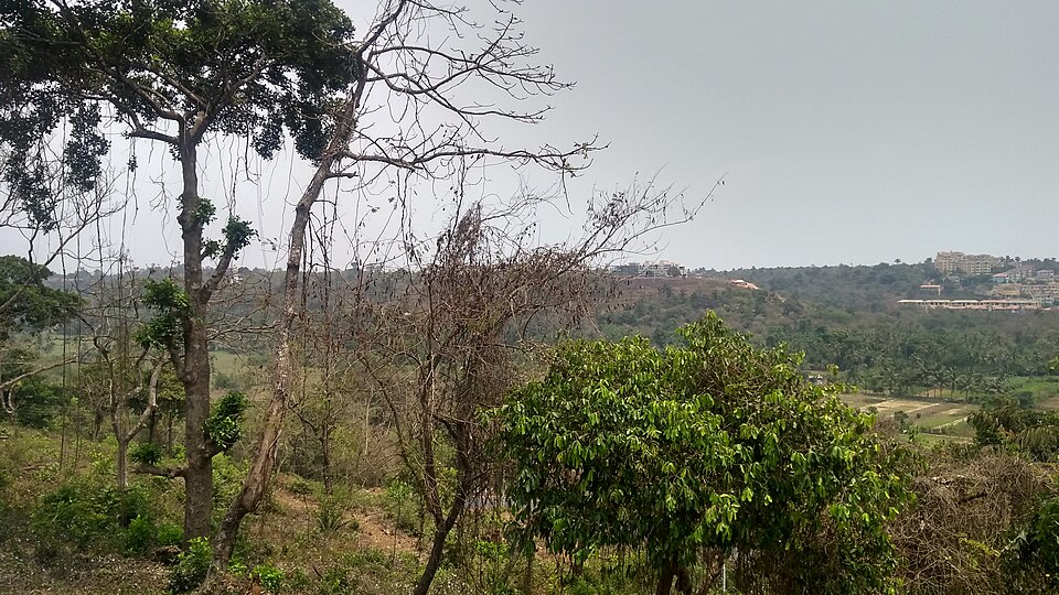 File:Taleigao-Bambolim area of Goa.jpg