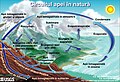 română • Romanian