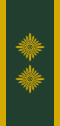 File:Dansk Politiassistent 2.svg