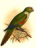 Thumbnail for version as of 19:45, 20 March 2012
