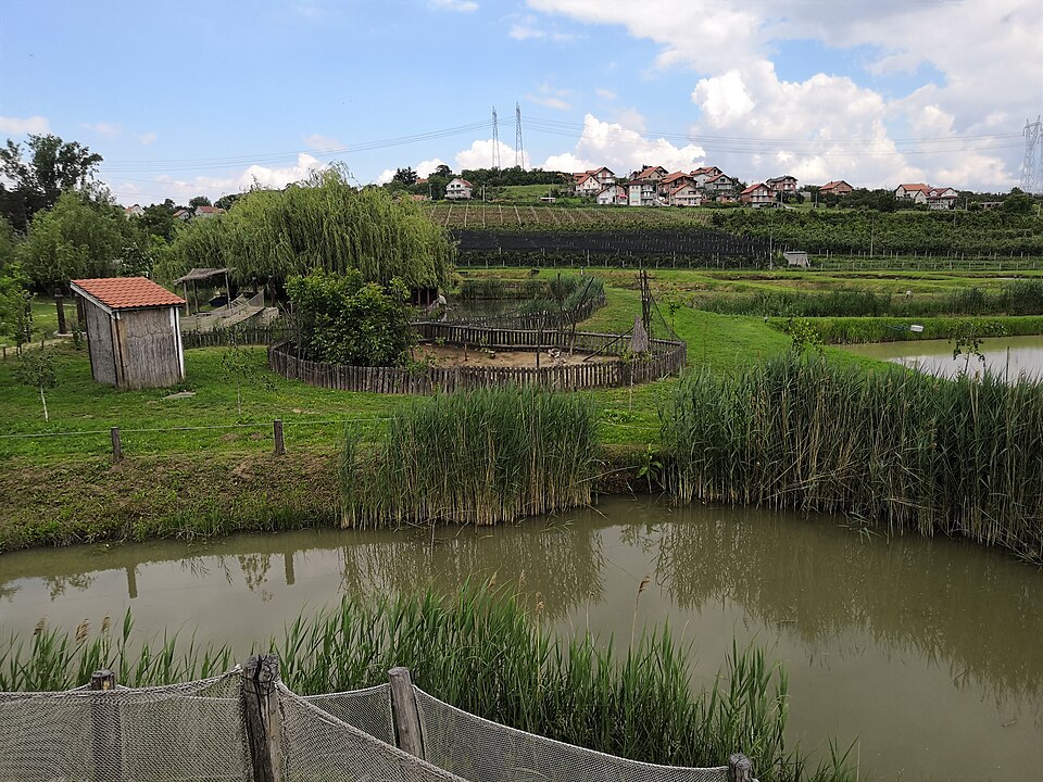 File:Radmilovac-11.jpg