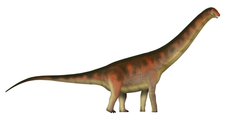 File:Uriash TD.png