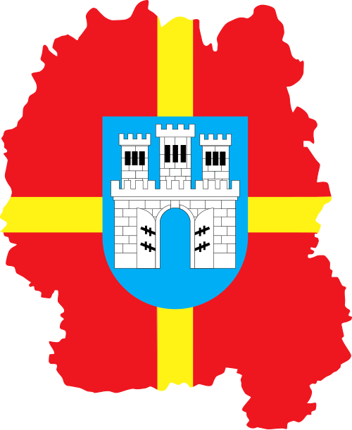 File:Flag-map of Zhytomyr Oblast.svg