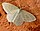 Stub icon