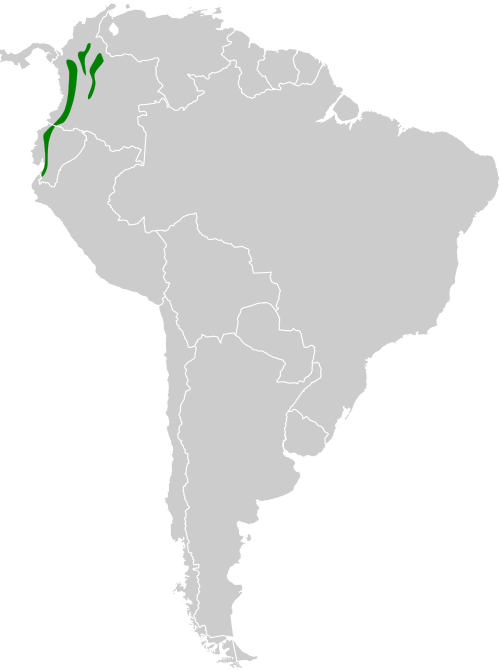 File:Myiotriccus ornatus map.svg