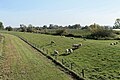Levee at the Jümme River (Germany)