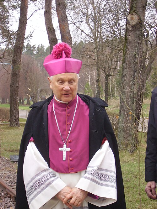 File:Ozorowski wizytacja (2012).JPG
