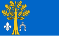 Flag of Gmina Kluki