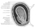 Thumbnail for version as of 17:28, 4 August 2024