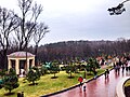 Park surrounding Honka