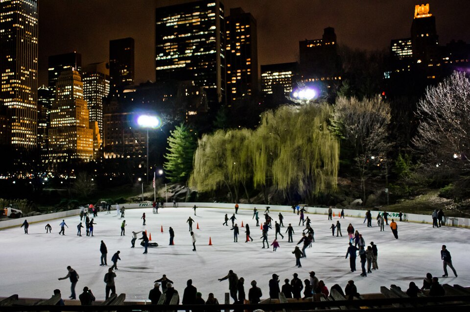 File:WollmanRink.jpg