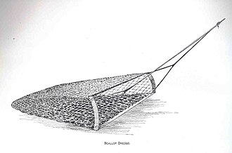 Scallop dredge, 1889