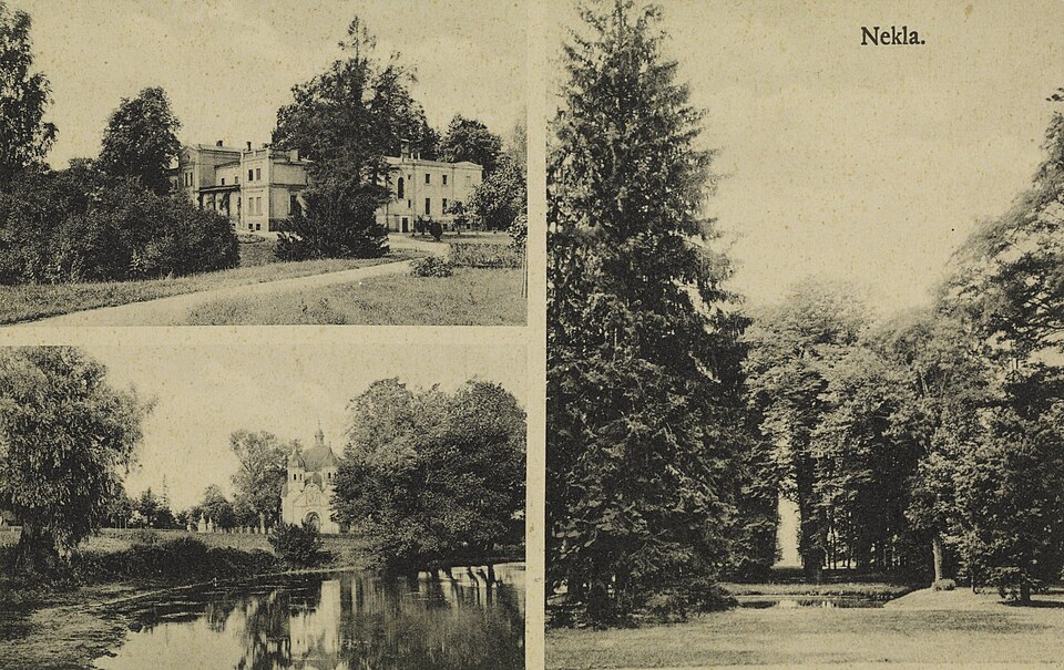 File:Nekla 1906-1918 (70034300).jpg