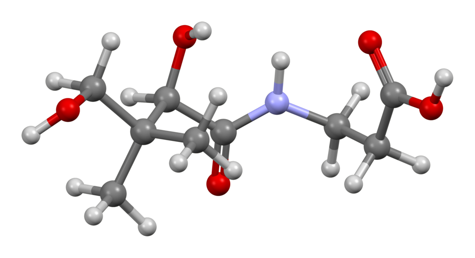 File:Pantothenic-acid-based-on-xtal-3D-bs-17.png