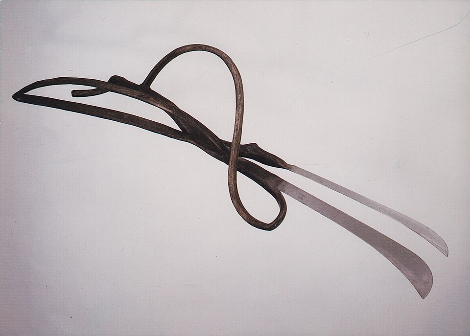 File:Slow Motion 192.jpg