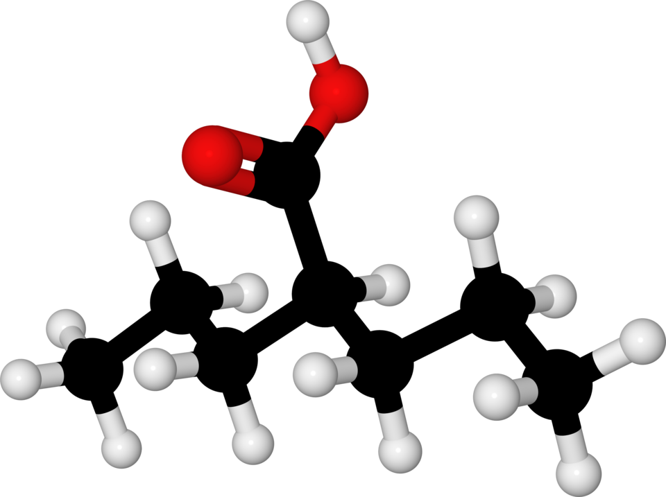 File:Valproic acid-optimized-ball-and-stick-model.png