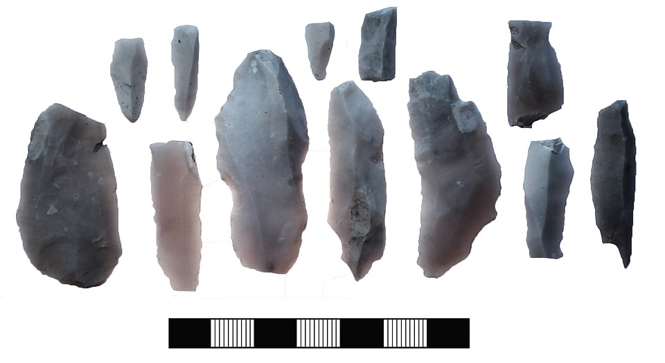 File:Neolithic, Lithic implement (FindID 608908).jpg