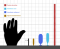 Size chart of all olgunids.