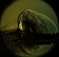 Thumbnail for version as of 17:25, 1 July 2013