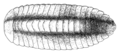 Thumbnail for version as of 21:08, 12 December 2014