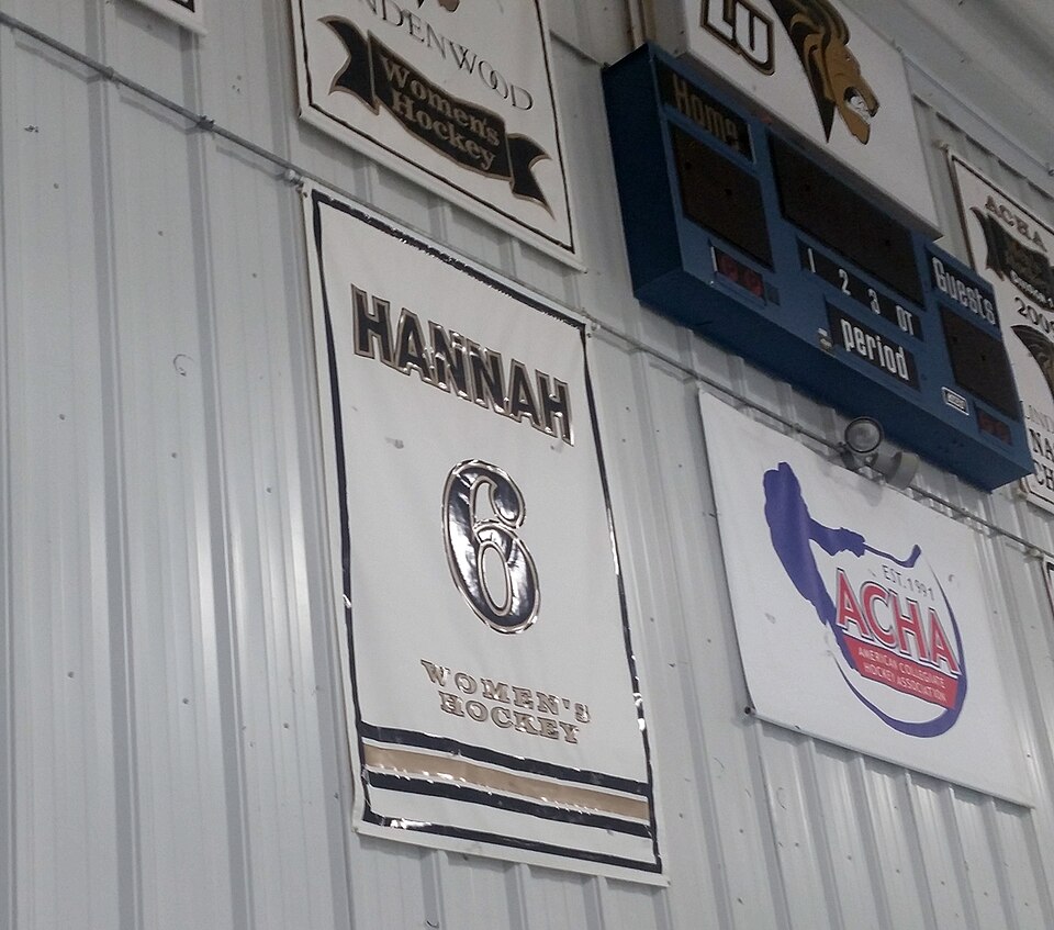 File:Kat Hannah Lindenwood banner.jpg