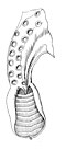 Thumbnail for version as of 16:44, 6 August 2010