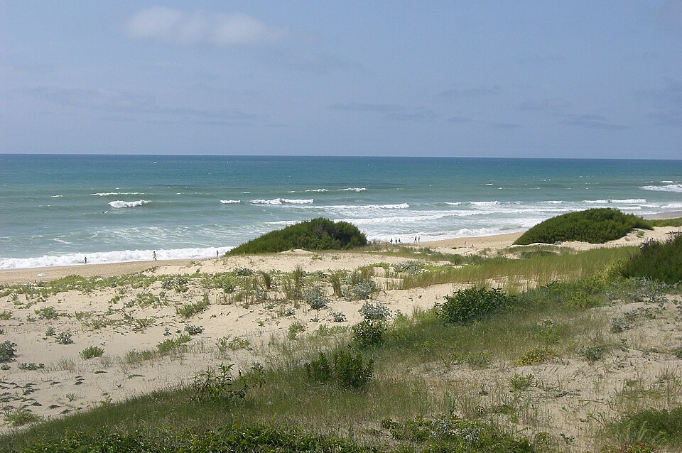 File:Beach of Seignosse.jpg