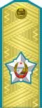 Vice marshal