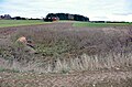 Doline S Meßstetten
