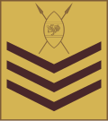 Staff sergeant(Kenya Army)