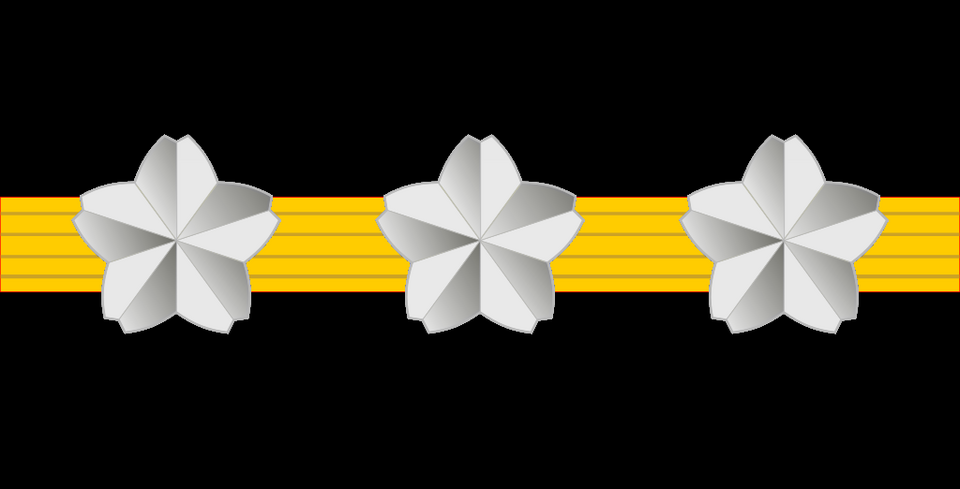 File:NPR Ittō-keisatsushi-ho.png