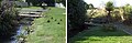 Before and after: planting of the stream banks through Kaikorai Common