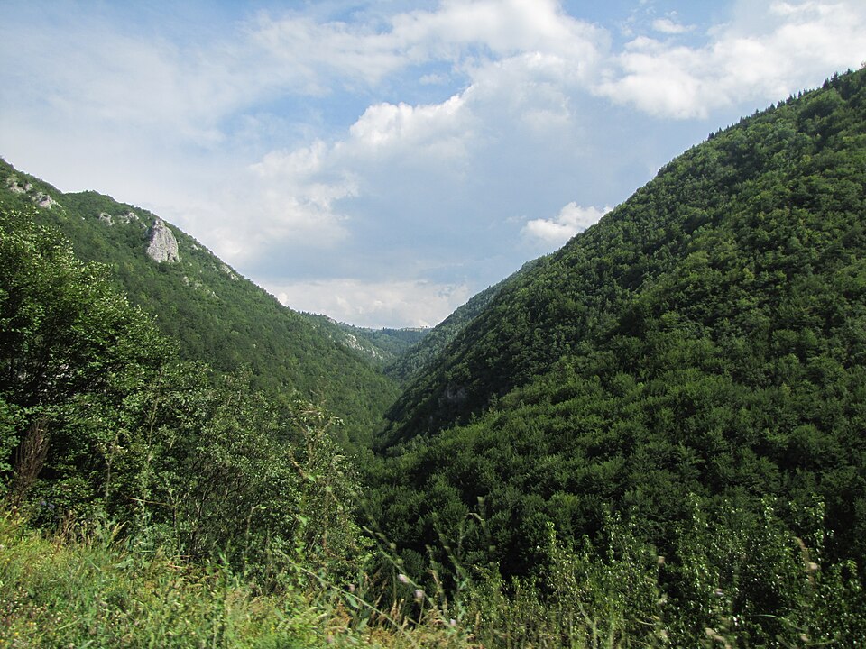 File:Suhovara.JPG