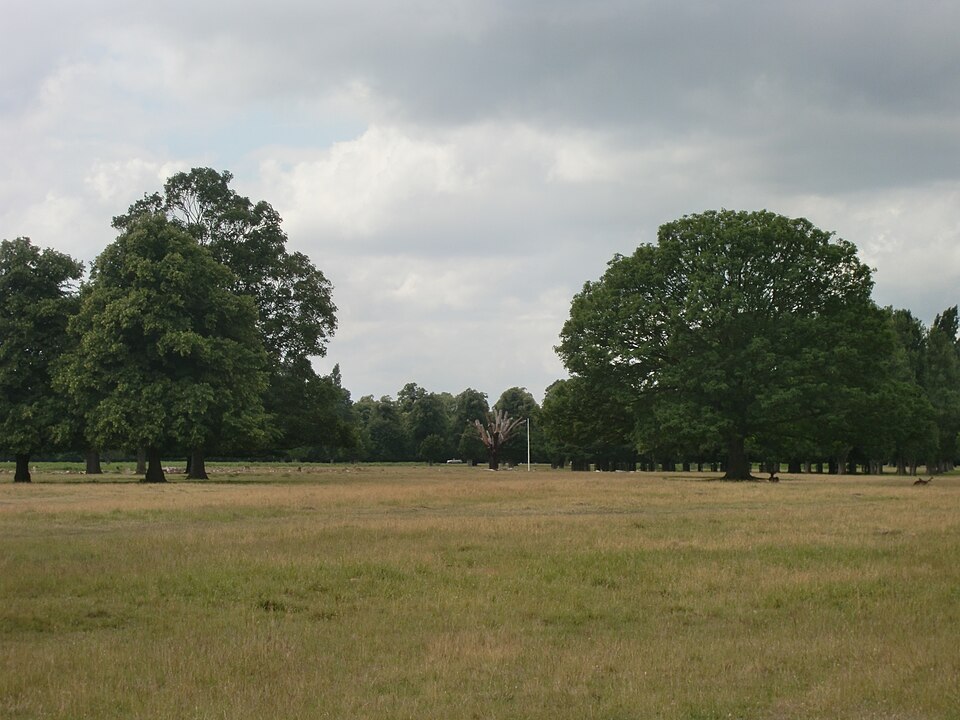 File:Camp Griffiss 2011.jpg
