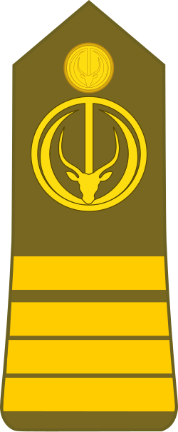 File:Chad-Army-OF-3.svg
