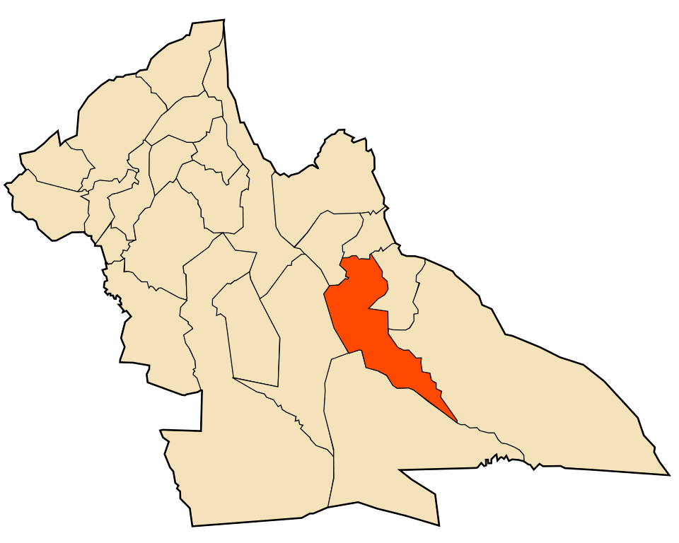 File:Dz - 03 - Bennasser Benchohra.svg