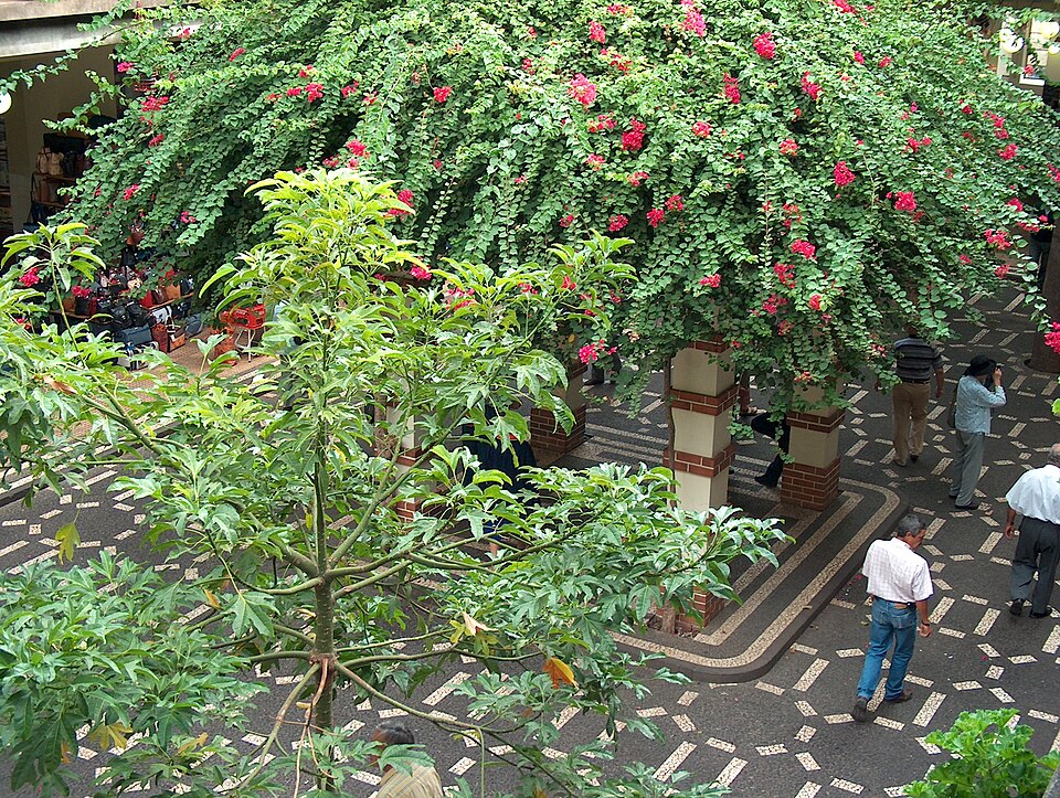 File:Mercado dos Lavradores.JPG