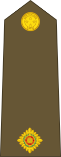 File:New Zealand-Army-OF-1a.svg