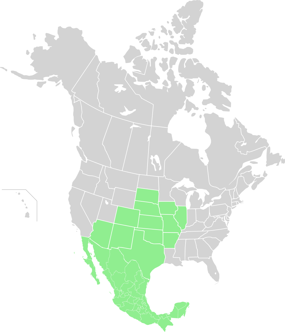 File:North America Range Argia plana.svg