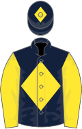 Dark blue, yellow diamond, sleeves and diamond on cap