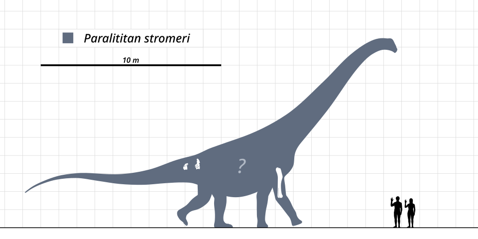File:Paralititan-Scale-Diagram-SVG-Steveoc86.svg