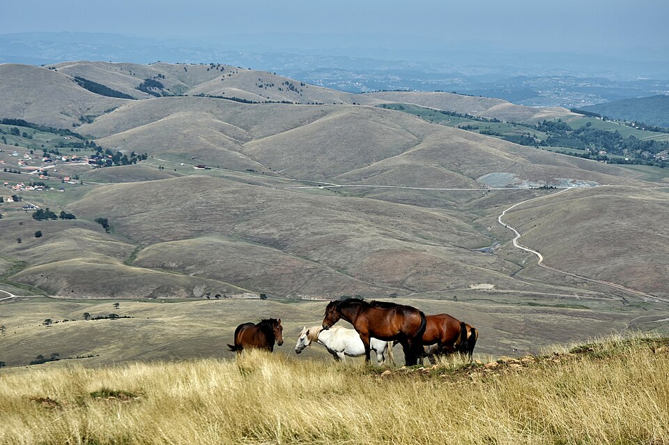 File:Pogled sa Cukera.jpg