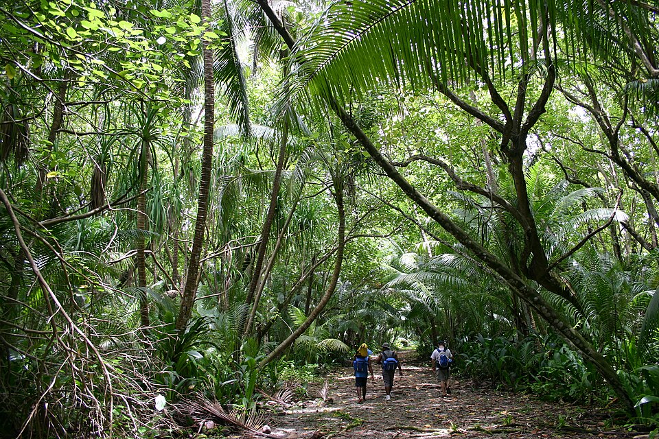 File:Swains Island 2.jpg