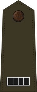 File:US Army W-4 (2020).svg