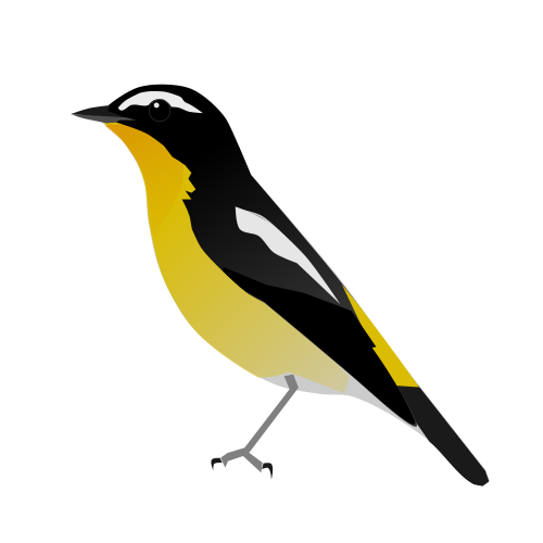 File:Ficedula zanthopygia sk.svg