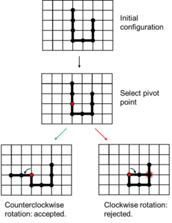 Pivot algorithm on a square lattice.