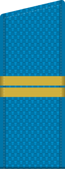 File:Russia-Airforce-OR-4-2010.svg