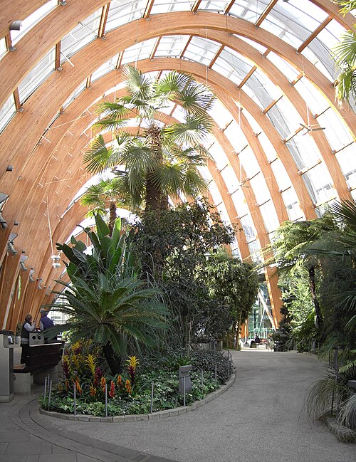 File:Sheffield Winter Garden.jpg